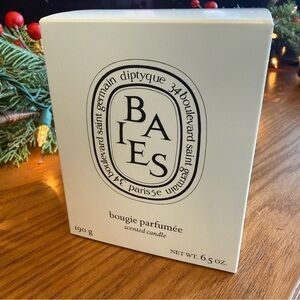 Diptyque Baies - Full Size Candle